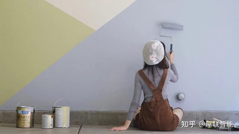 墙面漆价格解析：升桶成本背后的秘密**